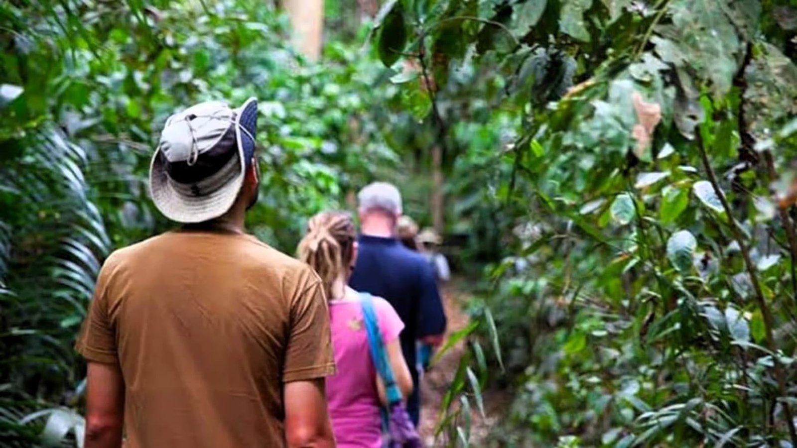 Discover the aromas of the Spice Island on a guided tour