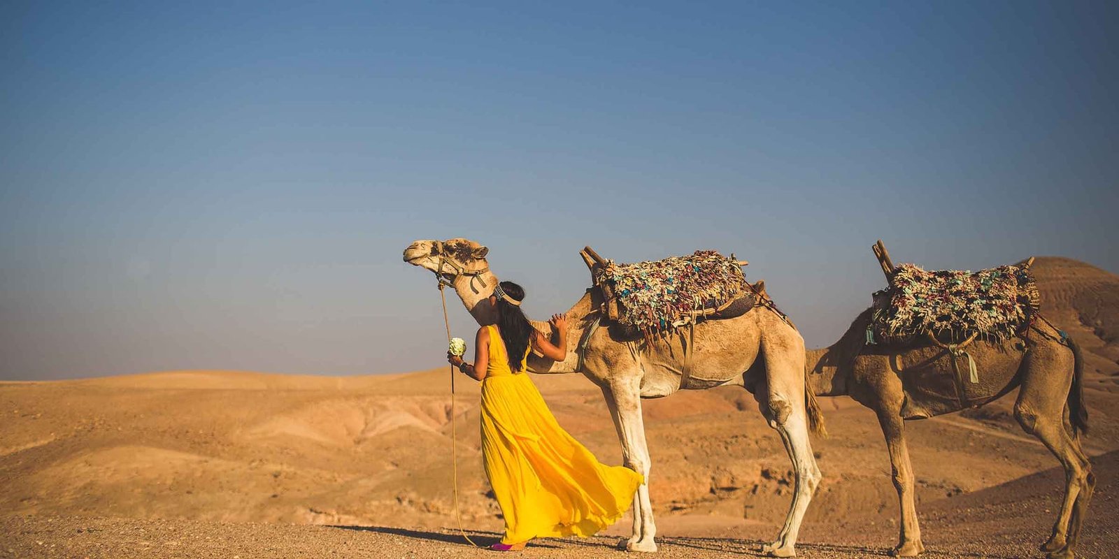 Camel trek and overnight in a luxury desert camp