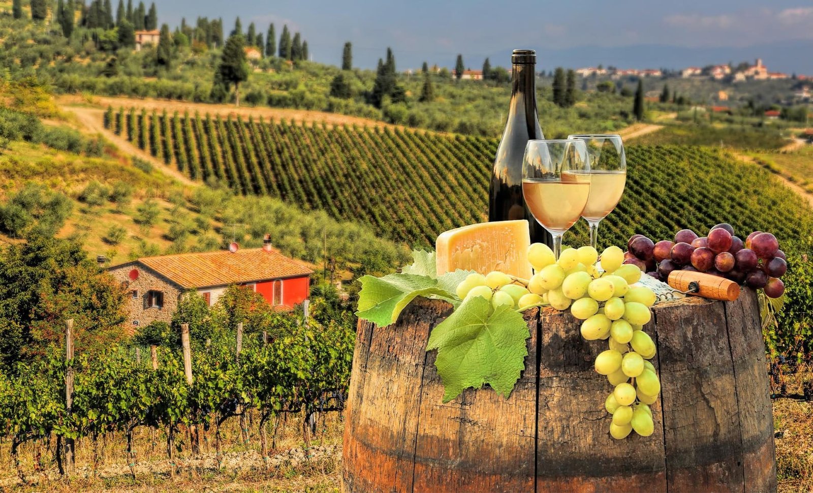 Taste Chianti Classico at a family-owned estate