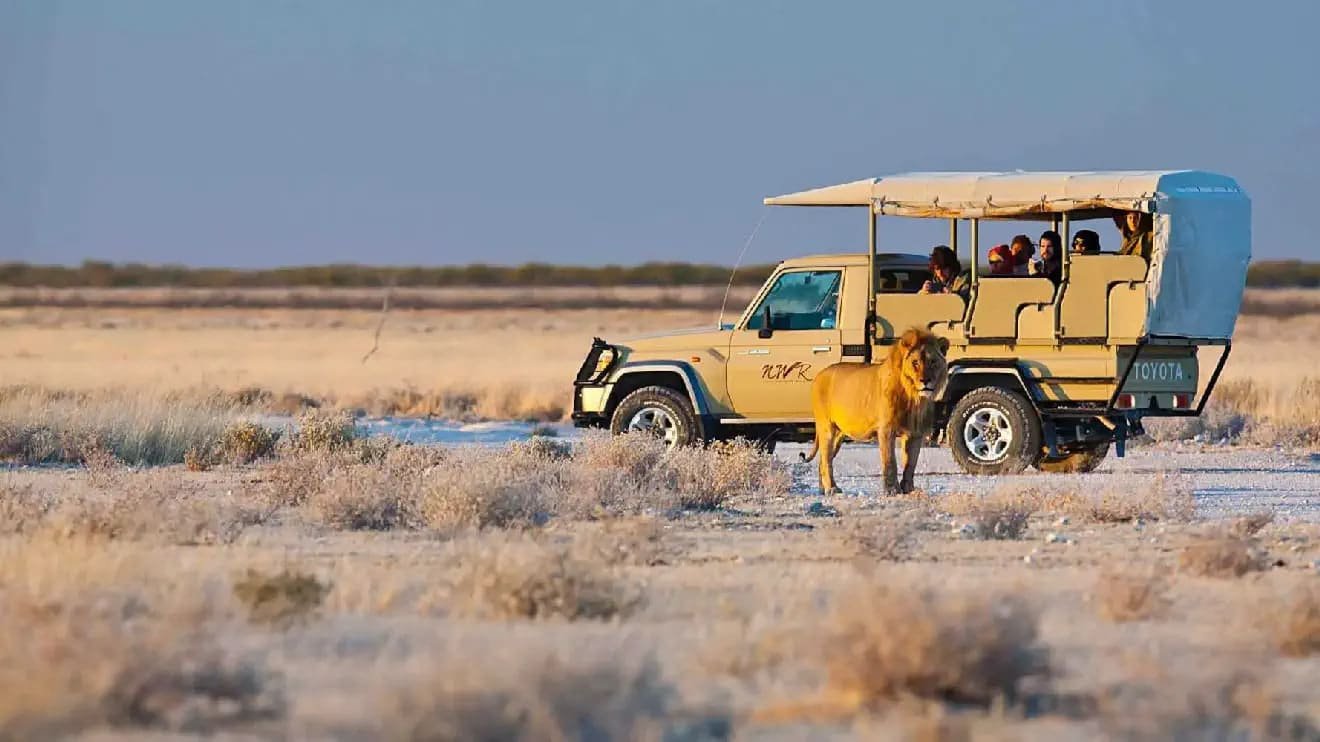 Game drive around the vast Etosha salt pan