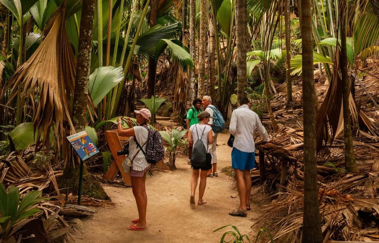 Guided walk through the Vallée de Mai UNESCO forest to find the wild Coco de Mer