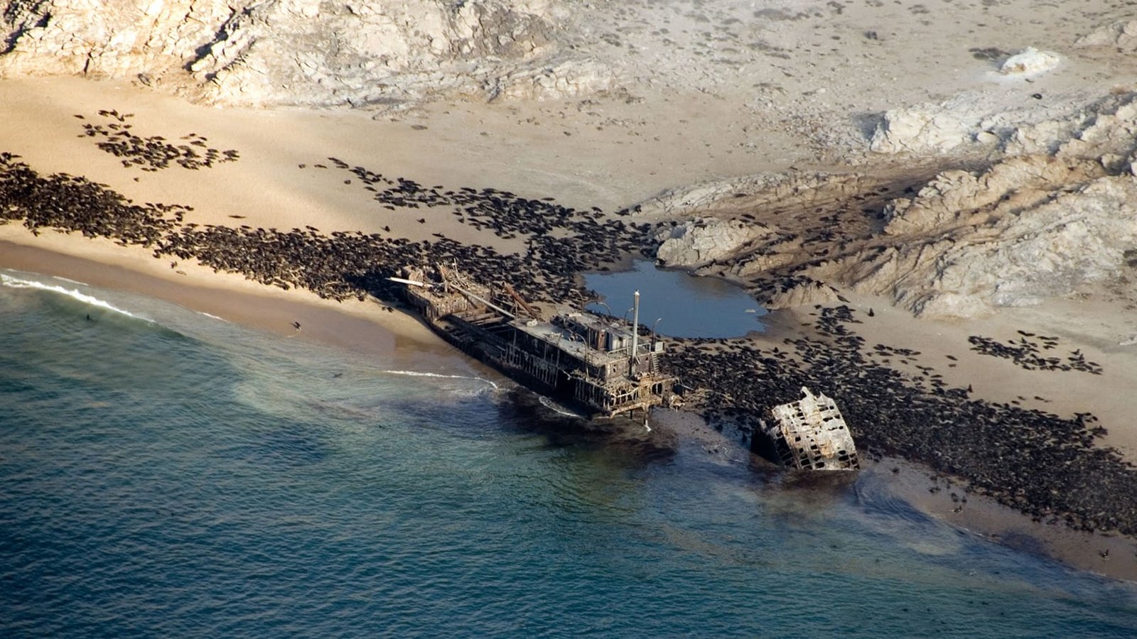Scenic flight along the fog-bound Skeleton Coast