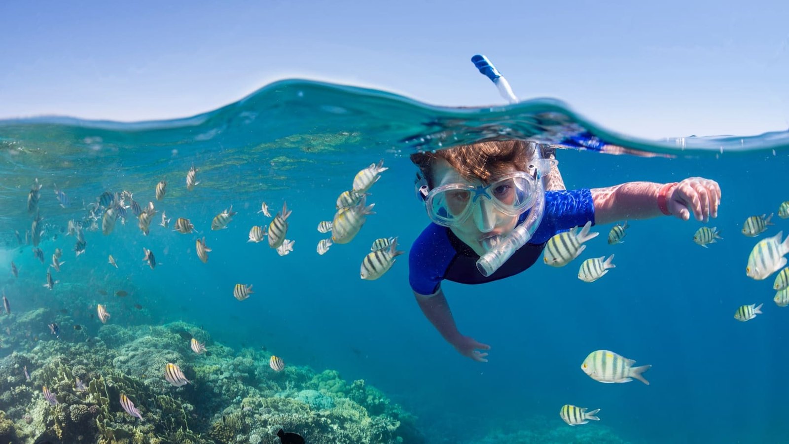 Snorkel coral reefs alive with colour