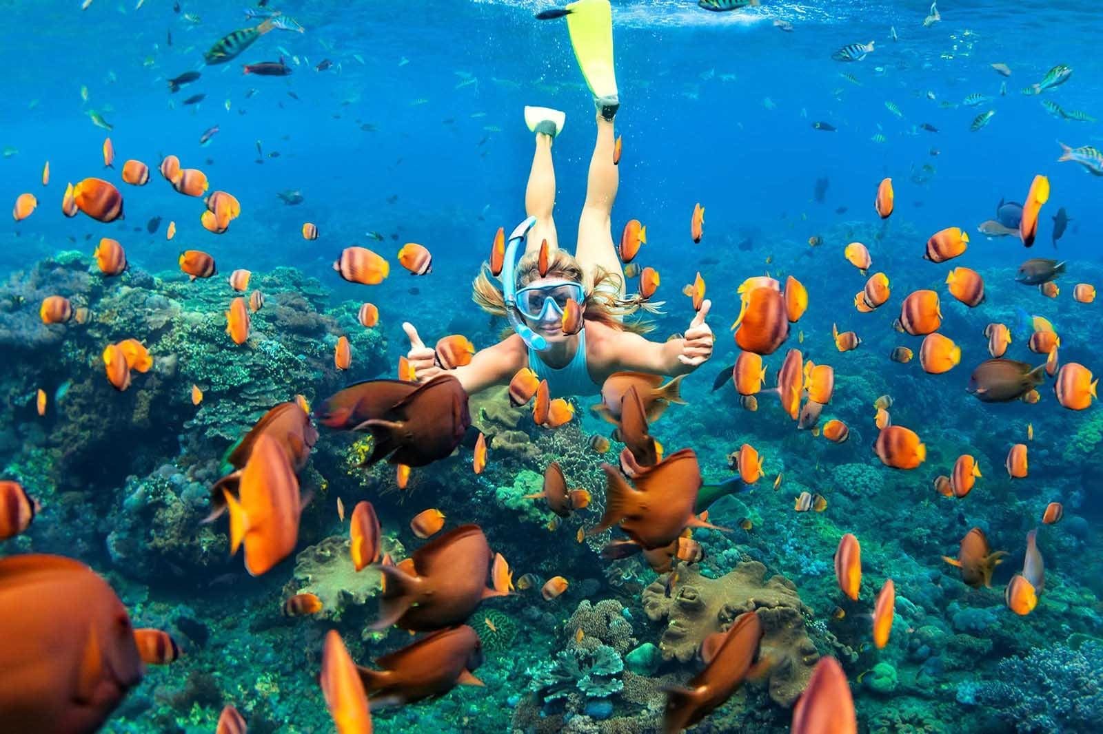 Snorkel the turquoise waters of Maya Bay