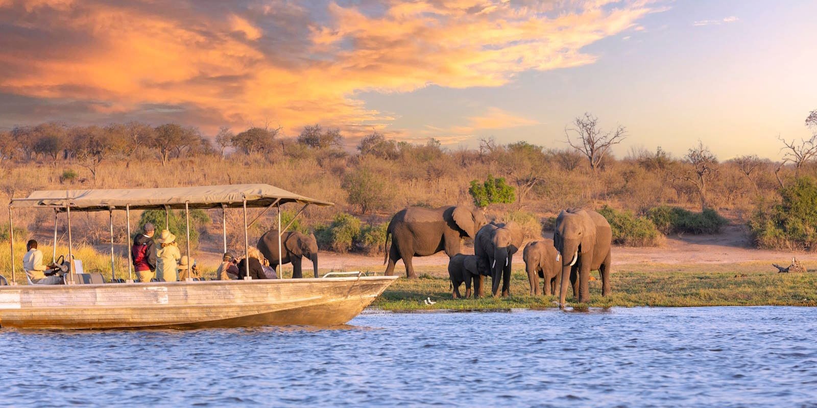 Sunset cruise along the Chobe River among elephant herds