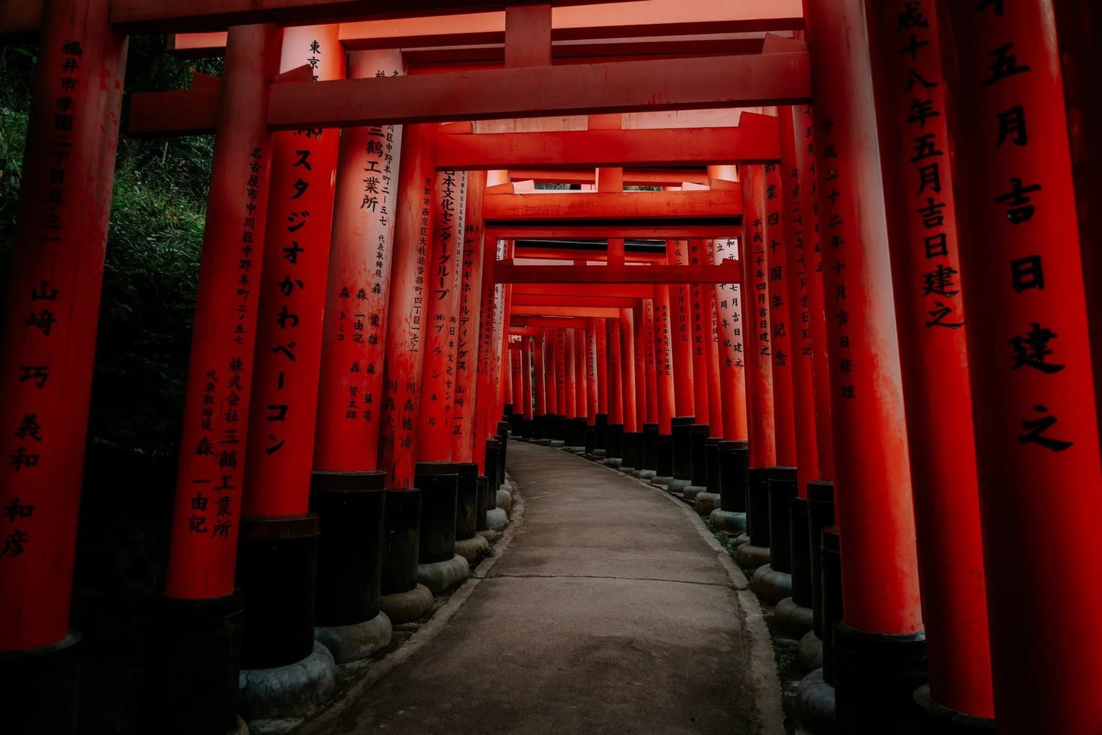 Walk the vermillion gates of Fushimi Inari at dawn