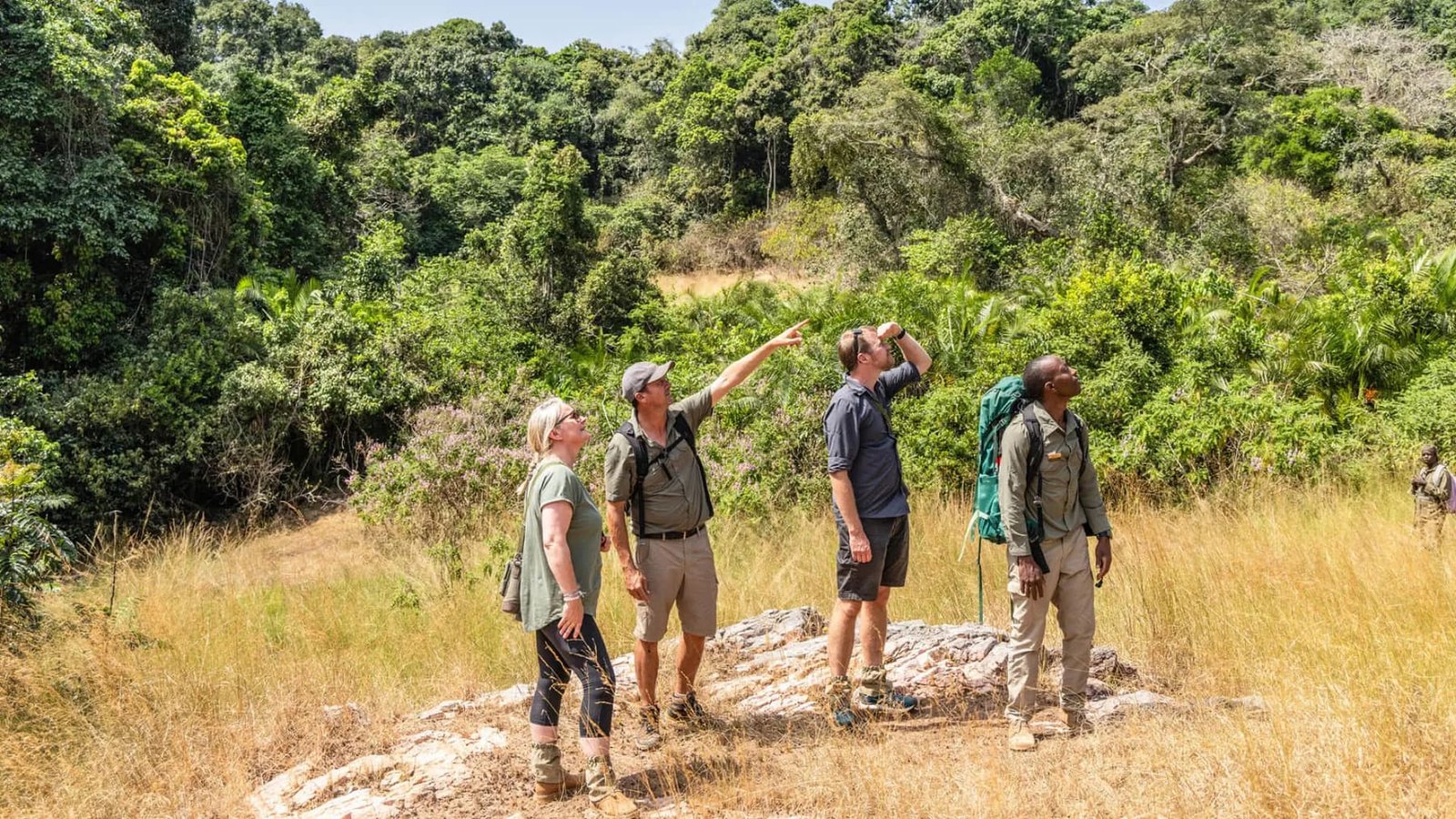 Walking safari on foot alongside expert guides