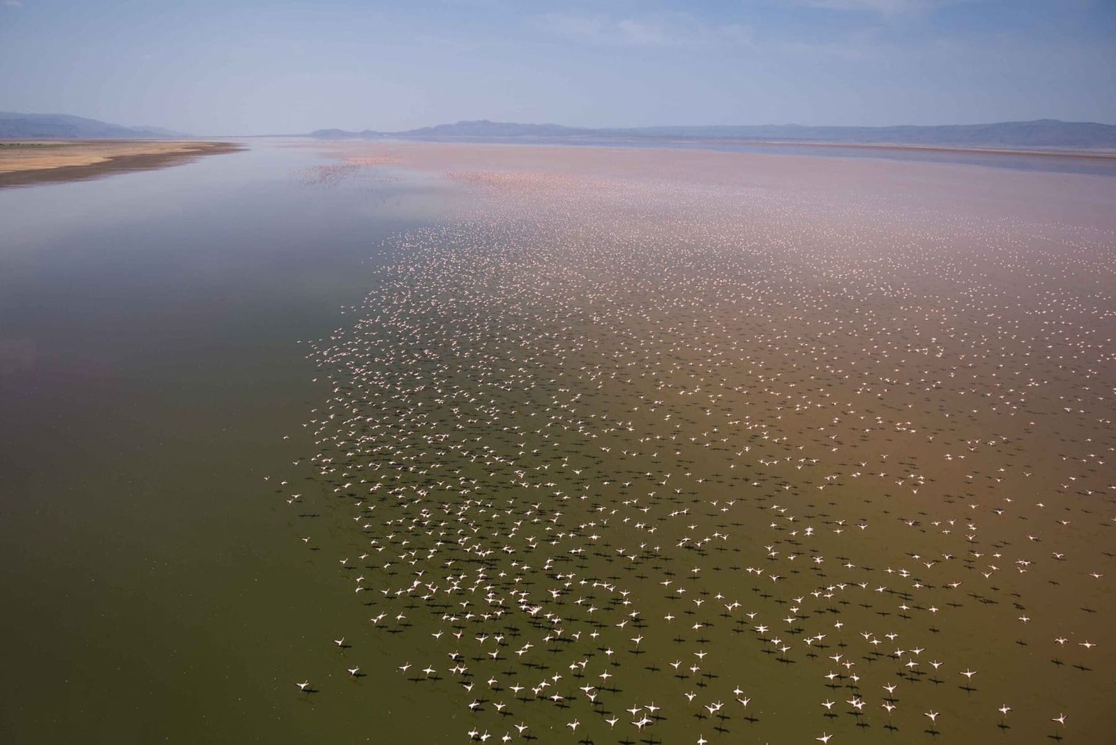 Lake Logipi, a red alkaline lake at the north end of the Suguta Valley