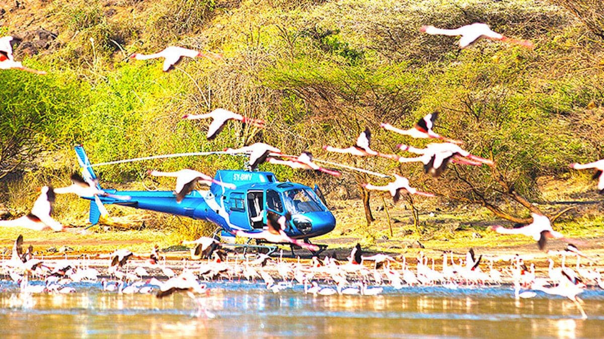A helicopter over a flamingo lake