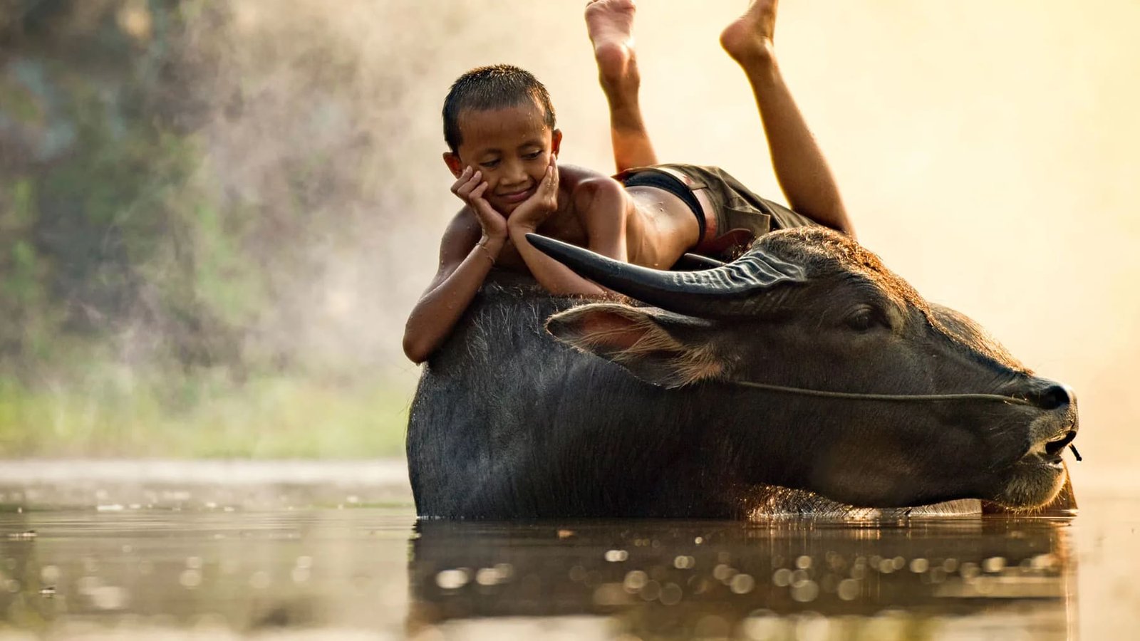 The Cardamom Jungle & Island Frontiers