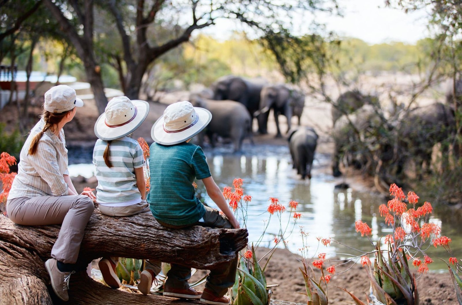 The East African Grand Safari