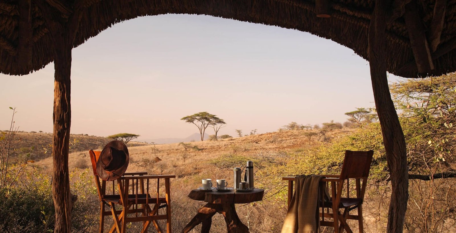 Acacia and open savannah seen from a safari lodge at sunset