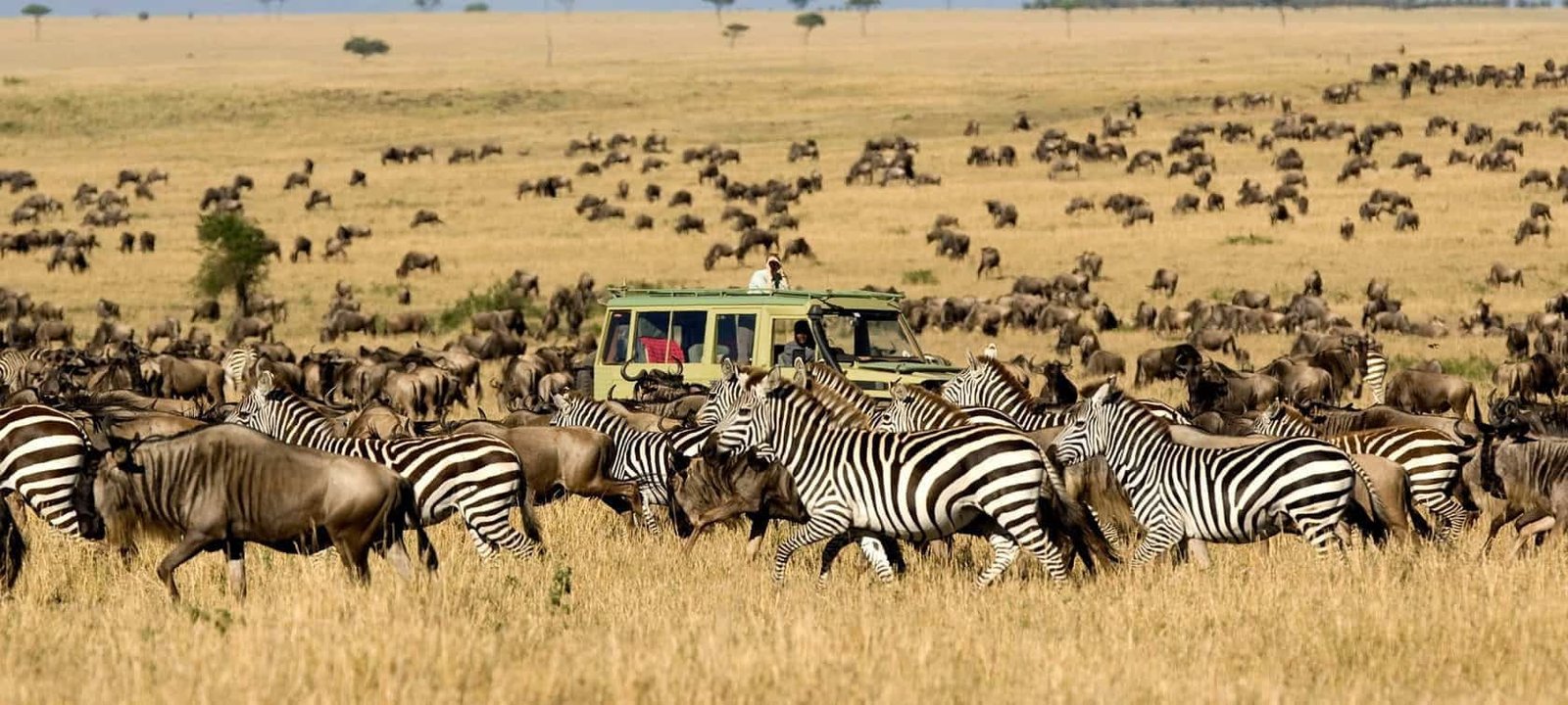 Day 4 | Hot Air Balloon Safari & Mara Plains Sundowner