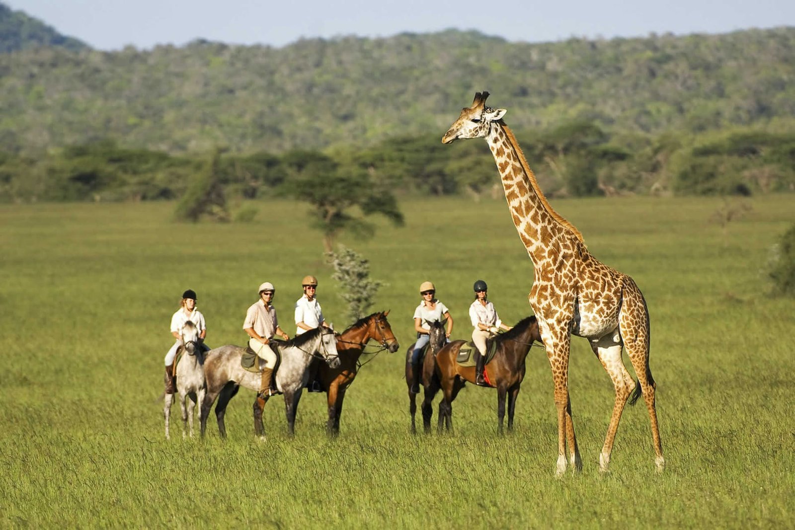 Laikipia's Royal Sanctuaries