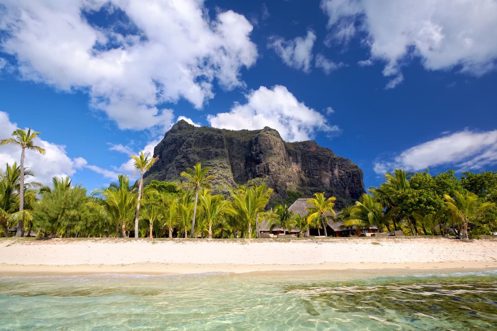 The Ultimate Romance & Secret Lagoons