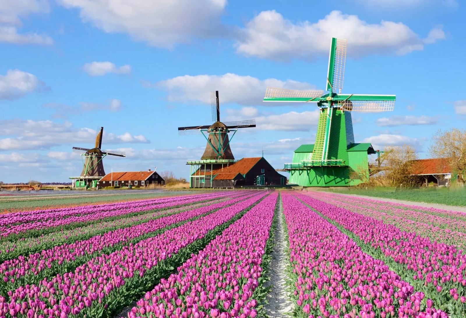 Netherlands &mdash; The Dutch Grand Experience