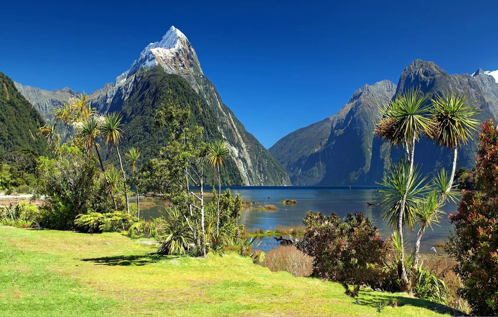 New Zealand &mdash; The Grand Adventure