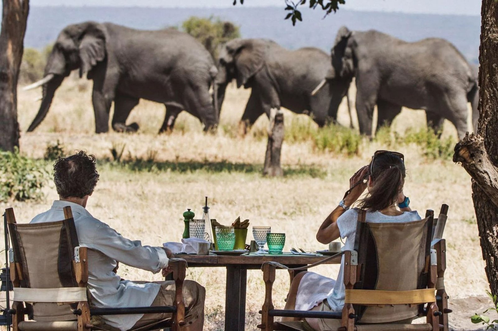 The Monarch's Untamed Mara