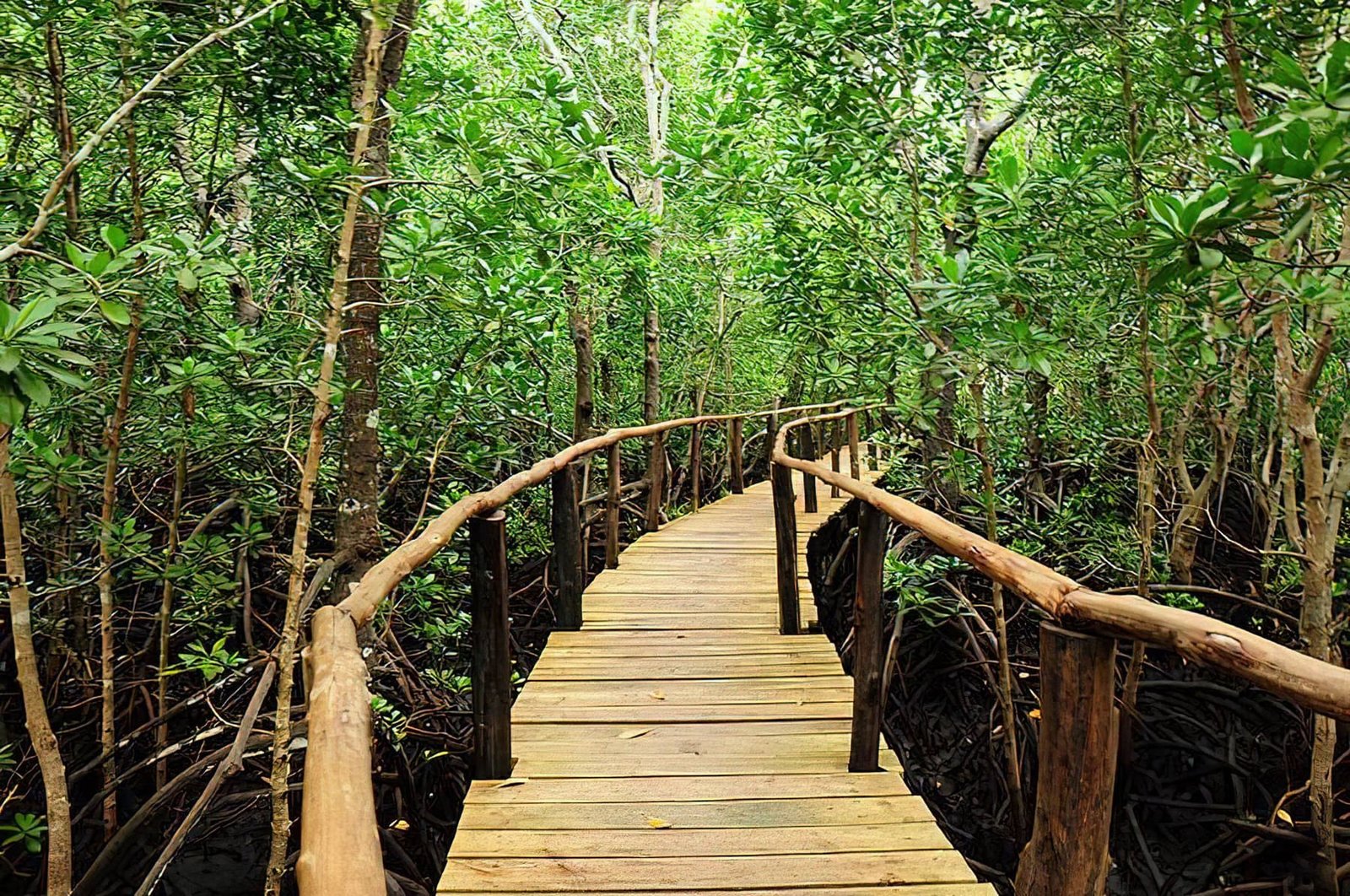 The Secret Oases & Hidden Sandbars