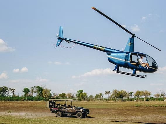Fly-In Safaris