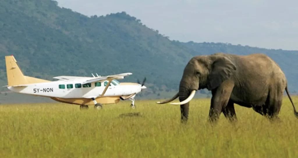 A light aircraft on a remote bush airstrip