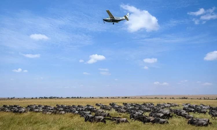 A light aircraft on a remote bush airstrip