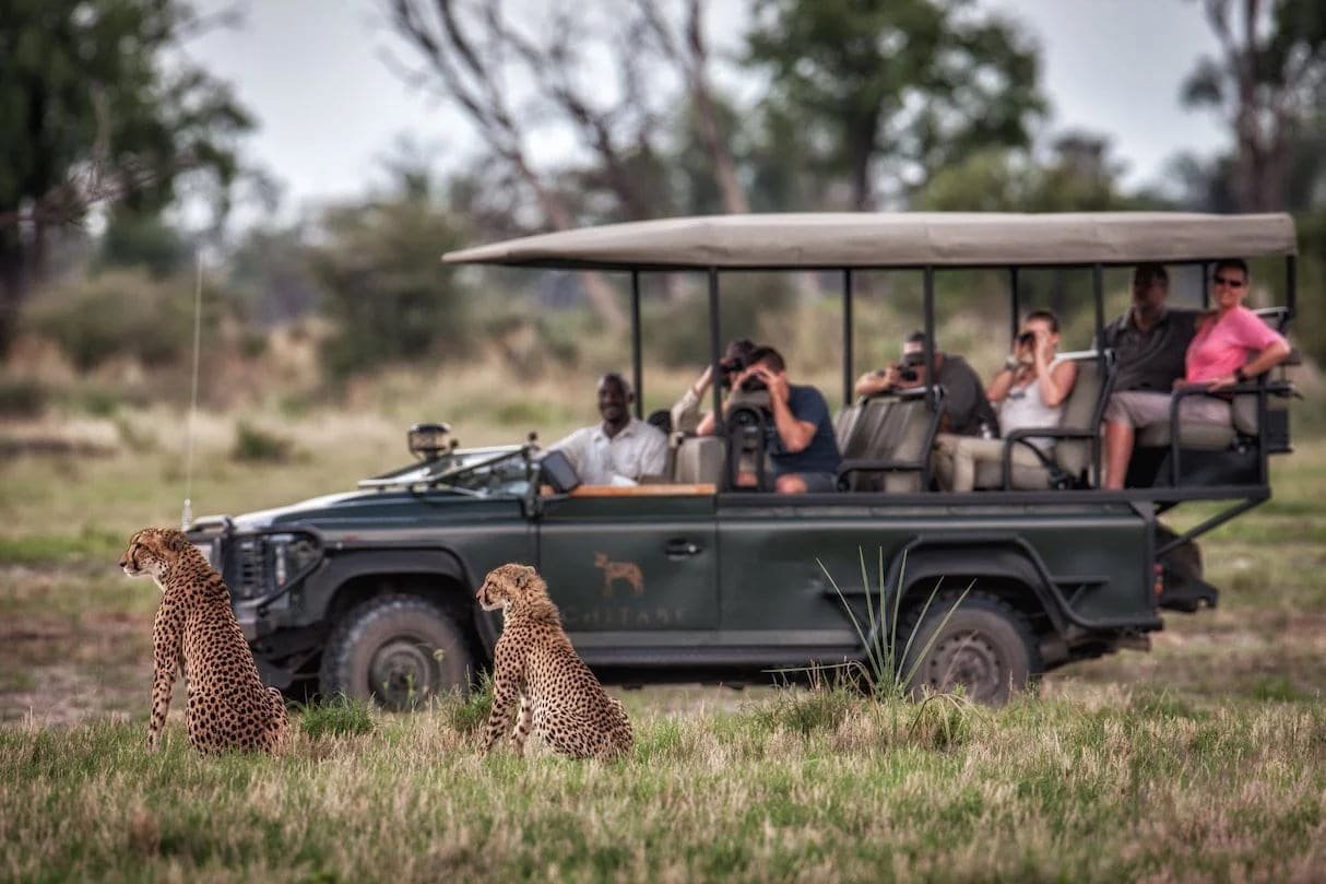 A small group gathered together on safari