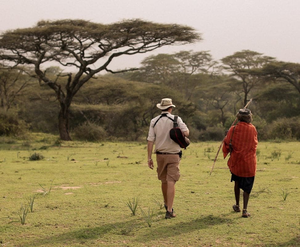 A single traveller at rest on safari