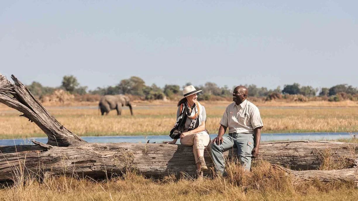 A single traveller at rest on safari