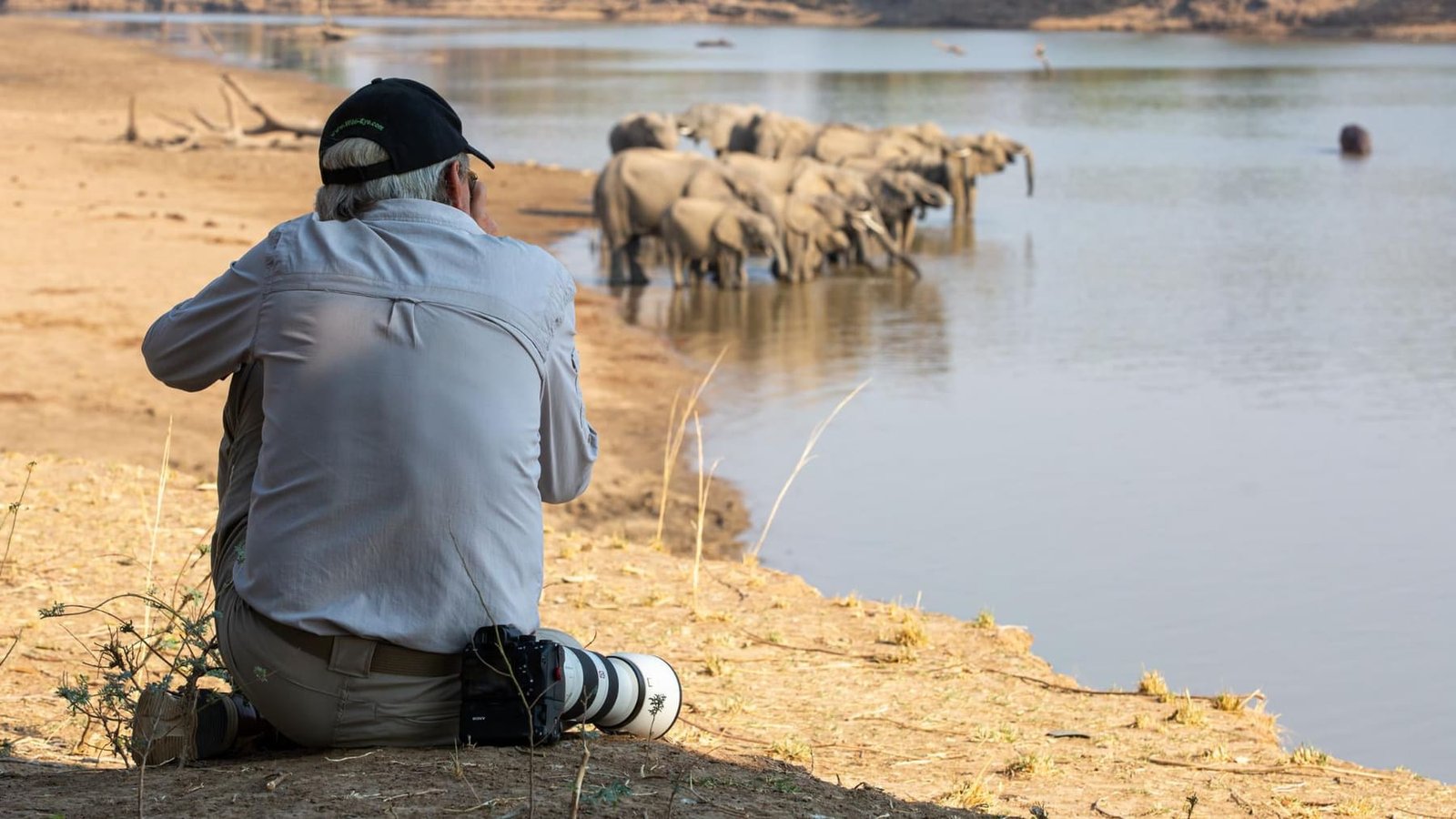 A single traveller at rest on safari