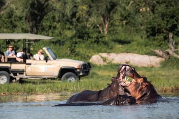 A private safari moment